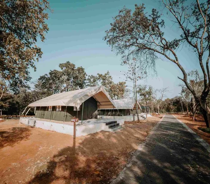 Safari tent with a private deck among the forest trees at Palash Jungle Resort