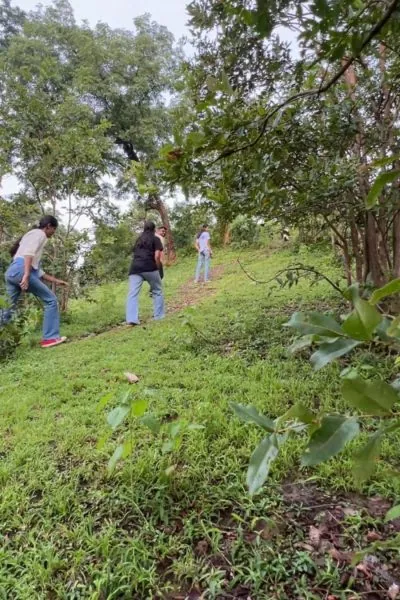 Guests trekking up a grassy forest slope